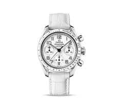 Pellentesque mattis auctor aliquet pellente