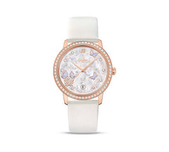 Vivamus dignissim sed ultrices accumsan