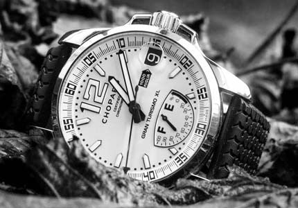 Cras eleifend sodales